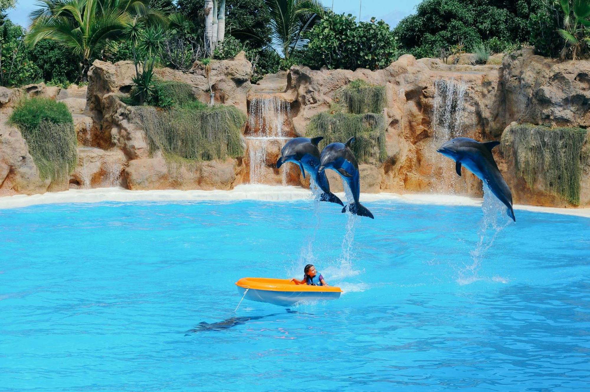 פוארטו דה לה קרוז Eden Rentals Moderno Y Coqueto Estudio Con Vistas מראה חיצוני תמונה